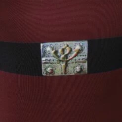 Star Wars Padme Amidala Maillot De Bain Cosplay Costume -NEWCOSSKY Soldes 15002665 6