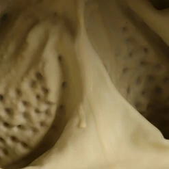 Stranger Things Masque Demogorgon Plante Cannibale Latex Accessoires -NEWCOSSKY Soldes 60054 7