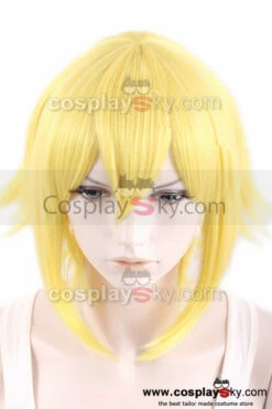 BlazBlue: Calamity Trigger Jin Kisaragi Cosplay Perruque -NEWCOSSKY Soldes blazblue calamity trigger jin kisaragi cosplay wig 4